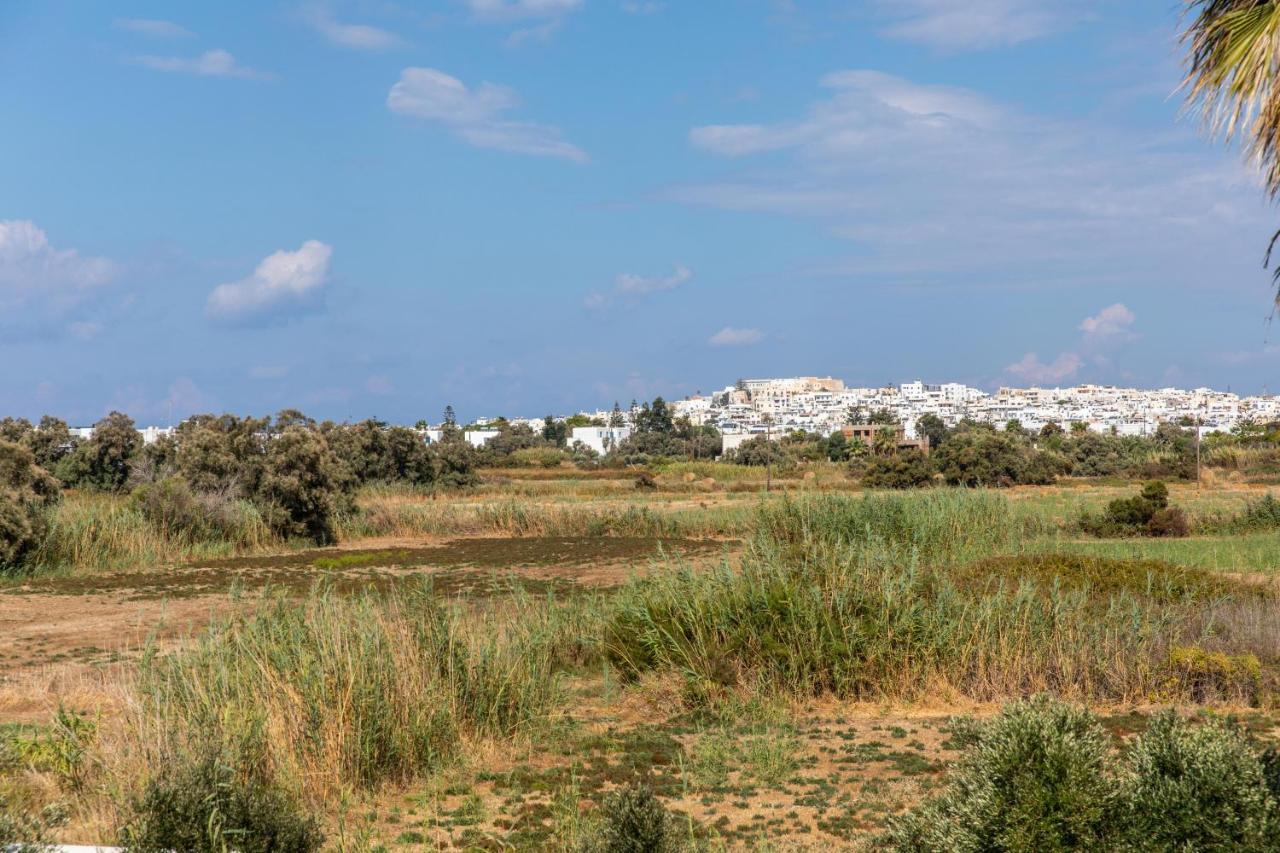 Surfer Paradise Naxos City Экстерьер фото