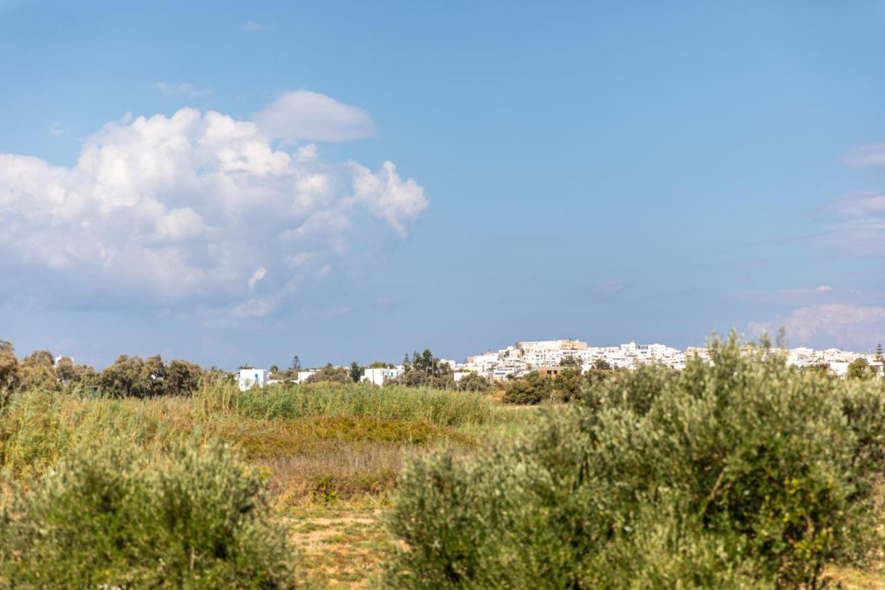 Surfer Paradise Naxos City Экстерьер фото